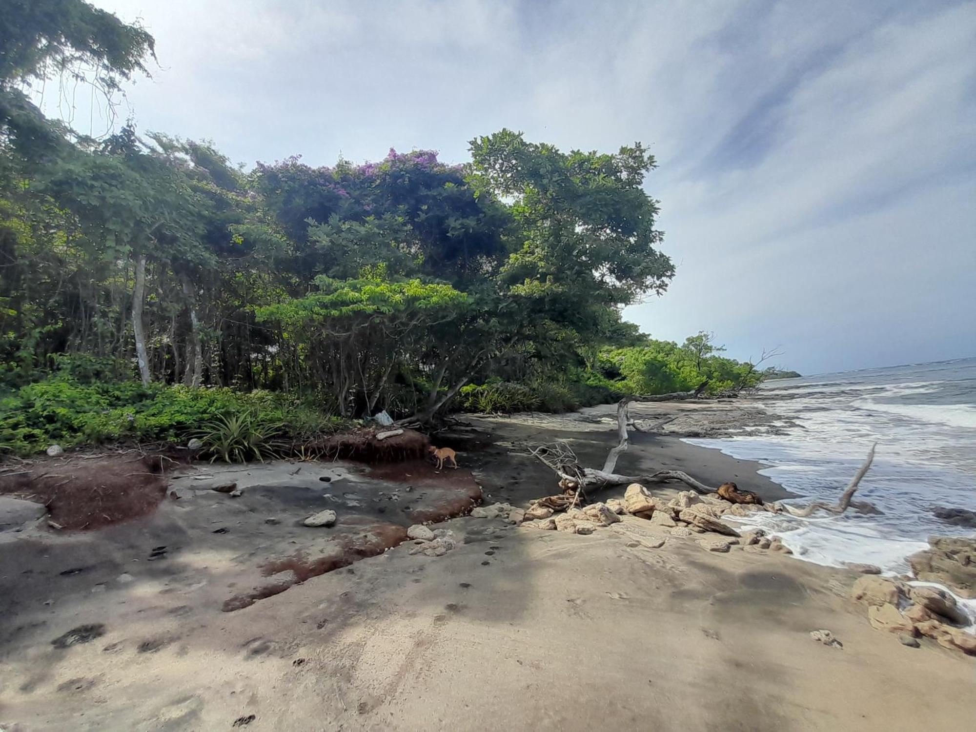 Hotel Cabinas La Playa Playa Avellana Bagian luar foto